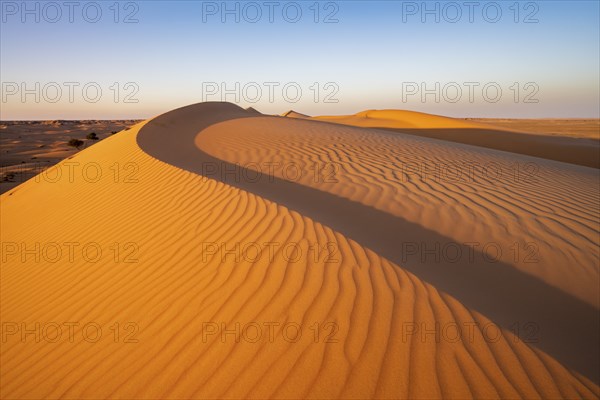 Sand dunes in the desert, near Duqm, Oman, Asia