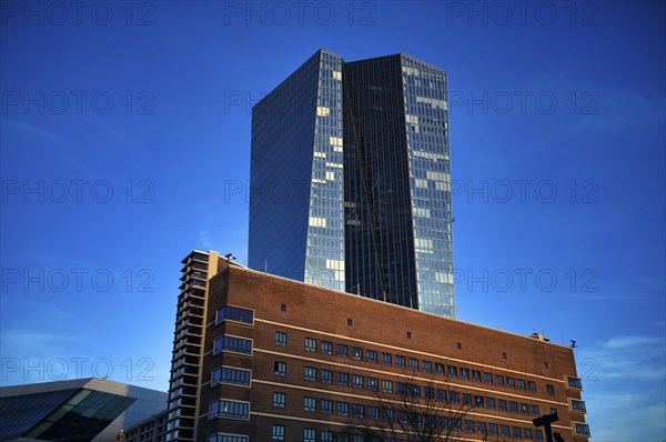 European Central Bank, ECB, Osthafen, Ostend, blue hour, Frankfurt am Main, Hesse, Germany, Europe