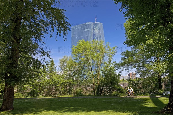 The European Central Bank ECB stands out behind a green park on Deutschherrnufer, Frankfurt am