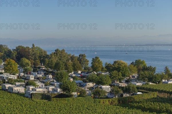 Campsite, caravan, blue sky, vineyards, Hagnau am Lake Constance, Baden-Württemberg, Germany,