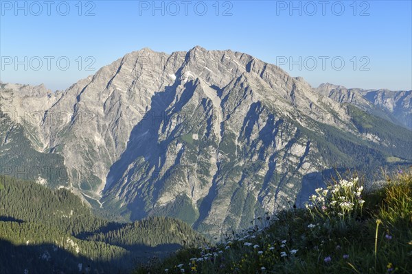The Watzmann with its east face in the morning light, Berchtesgaden National Park, Bavaria,
