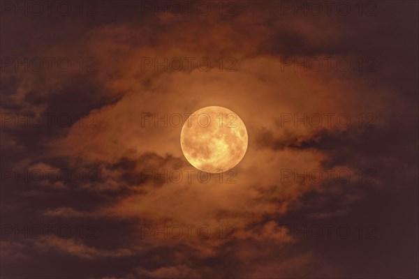 Full moon, supermoon, blood moon behind clouds, Baden-Württemberg, Germany, Europe