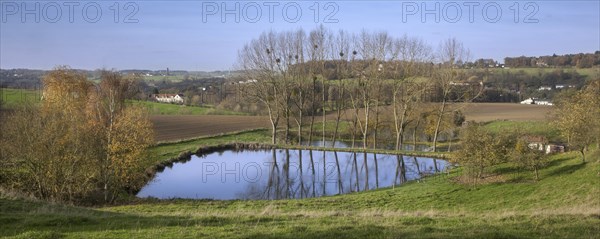 Agricultural landscape showing pond on farmland in rural Walloon Brabant, Wallonia, Belgium, Europe
