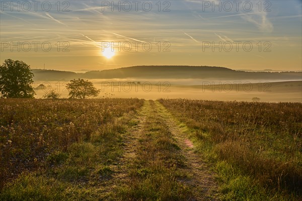 Landscape, country lane, fields, fog, sunrise, Höhefeld, Wertheim, Baden-Württemberg, Germany,