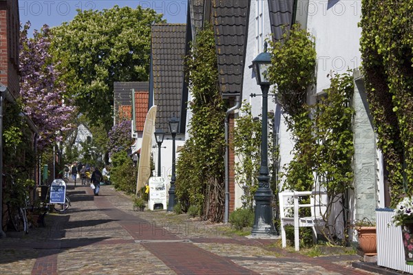 Seitenstrasse at Wyk auf Föhr, Schleswig-Holstein, Germany, Europe
