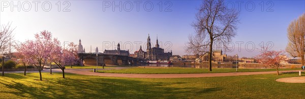 Spring on the Königsufer in Dresden