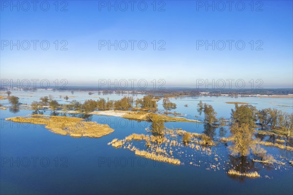Aerial view, drone photo: Flood, flooded meadows in the floodplains along the river Oder, GroÃŸ