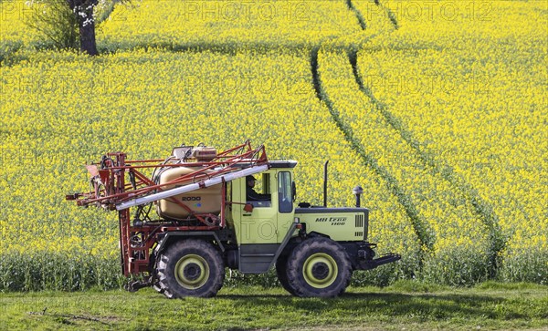 Agriculture in spring, MB-trac tractor with crop protection sprayer in front of a rape field in