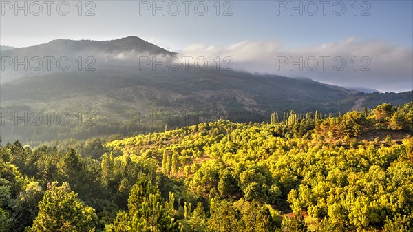 HDR shot, mountain, fog, clouds, green forests, Madonie National Park, spring, Sicily, Italy,