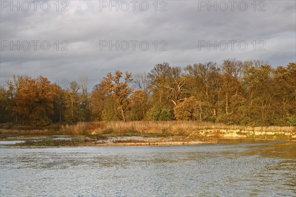 Autumn in the floodplain, view of a river gravel bank and steep banks of the river Mulde near