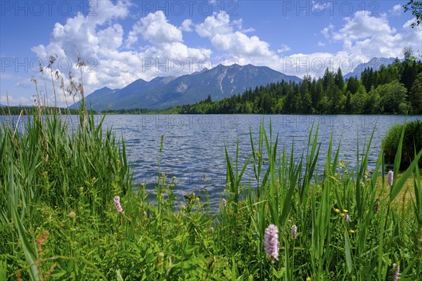 Barmsee, Karwendel mountains in the background, Krün, Werdenfelser Land, Upper Bavaria, Bavaria,
