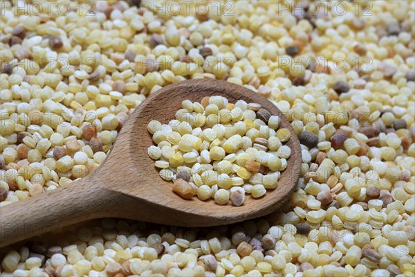 Fregola, pasta variety from Sardinia, Italy, Europe