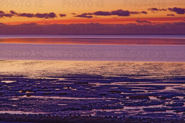 Evening tidal flat landscape shortly after sunset at low tide in the Wadden Sea National Park.