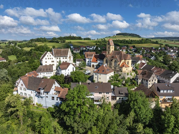 Aerial view of flower field, district of the southern Baden town of Tengen with flower field Castle