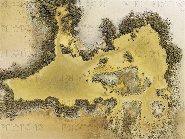 Marshland at low tide. Nature Reserve La Brena y Marismas del Barbate. Aerial view. Drone shot.