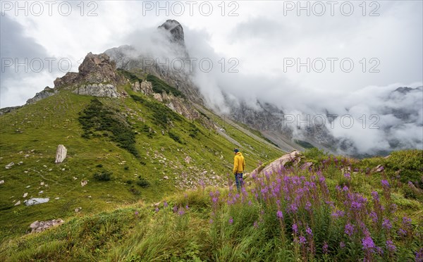 Green meadows and pink flowers in a cloudy mountain landscape, mountaineer with yellow jacket,
