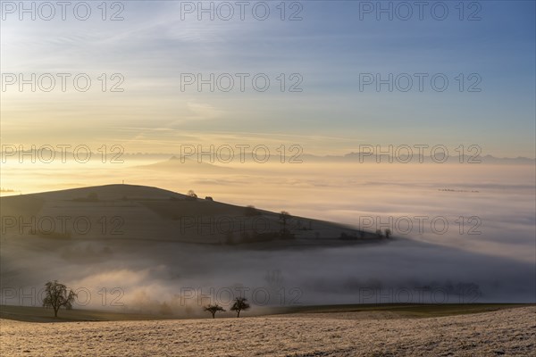 View from the old post road near Leipferdingen into the wintry and fog-covered Hegaulandschaft