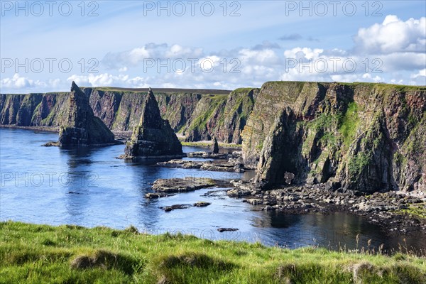 Rugged coastal landscape with the Duncansby Stacks on the coast of Duncansby Head, County