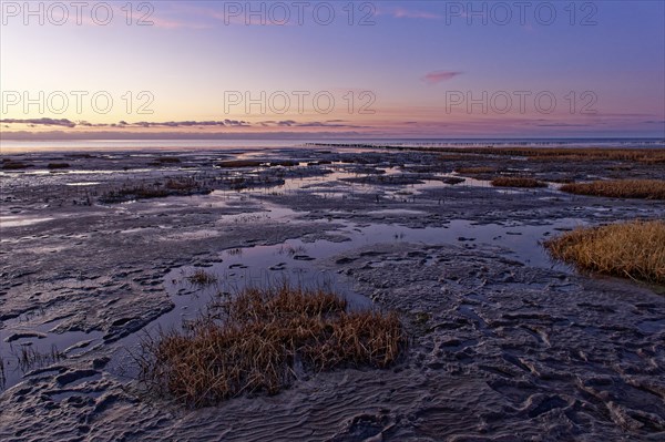 Evening tidal flat landscape shortly after sunset at low tide in the Wadden Sea National Park.