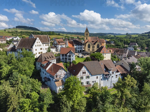 Aerial view of flower field, district of the southern Baden town of Tengen with flower field Castle
