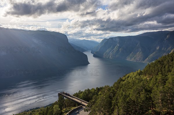 Stegastein viewpoint over the Sognefjord, viewing platform, Norway, Europe