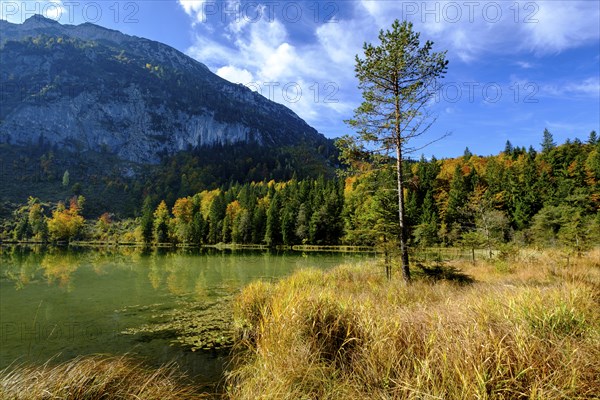 Frillensee near Inzell, Chiemgau, Upper Bavaria, Bavaria, Germany, Europe