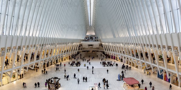 World Trade Centre WTC Oculus modern architecture by Santiago Calatrava Panorama in New York, USA,