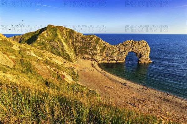Coastline with bathing beach at Durdle Door, limestone rock bridge, UNESCO World Heritage Site,
