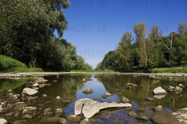 Elbe meadows between Kleinzschachwitz and Pillnitz