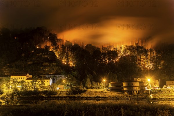 Forest fire