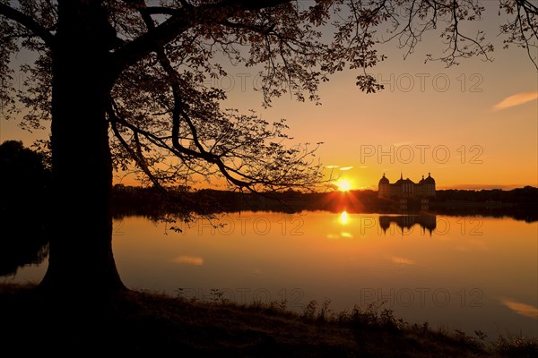 Moritzburg Baroque Palace