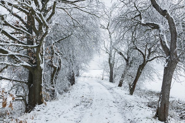 Winter landscapes around Augustusburg in the Ore Mountains