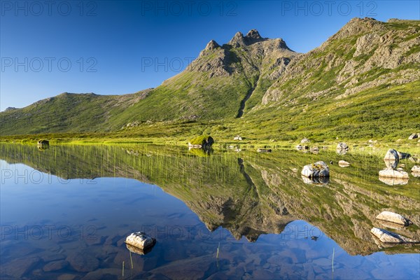 Mount Trehyrna reflected in lake, Nykvag, Langoya Island, Vesteralen Archipelago, Norway, Europe