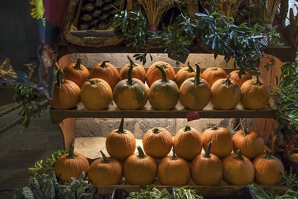 Shelves of Hokkaido pumpkins in front of a fruit shop in the historic centre, Genoa, Italy, Europe