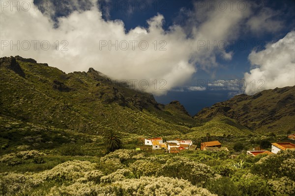 Teno Mountains, Tenerife, Canary Islands, Spain, Europe