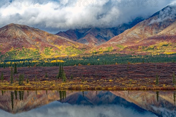 Autumn landscape in Denali State Park, intense colours, reflections in the water, Central Alaska,