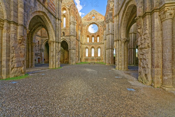 Nave, crossing and choir, church ruins of the Cistercian Abbey of San Galgano, Abbazia San Galgano,