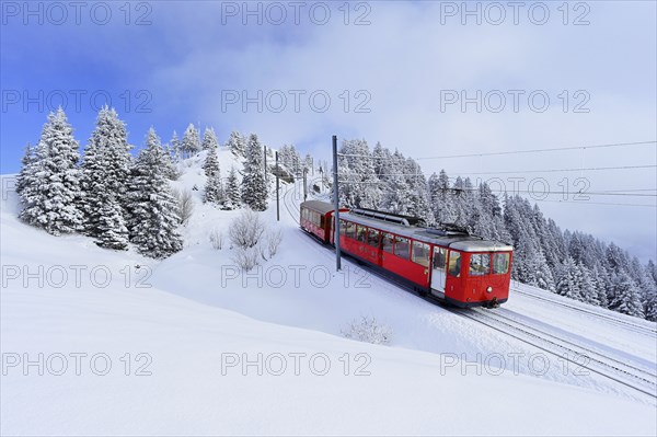 Cogwheel railway travelling through snow-covered forest, Rigi Kulm, Canton Schwyz, Switzerland,