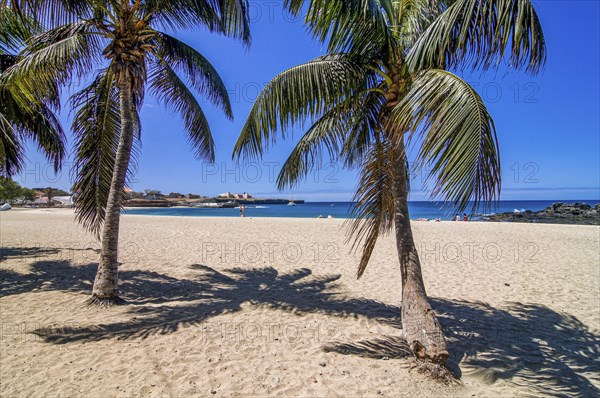 Nice sandbeach with palms and rocks. Tarrafal. Santiago. Cabo Verde. Africa