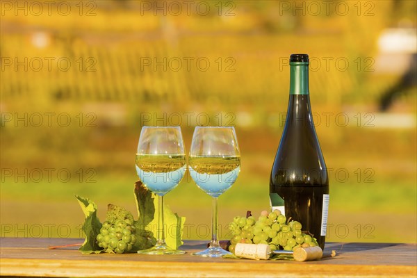 The wine-growing region of Saxony is one of the smallest and the most easterly wine-growing region