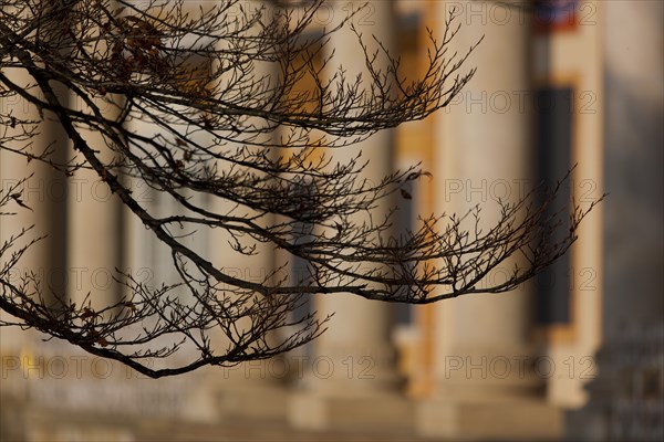 (Copyright Â©www.dresden fotografie.de) (Sylvio Dittrich +49 1772156417) Pillnitz Palace Park