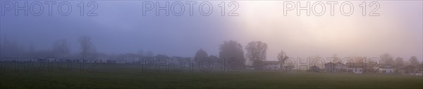 Fog, Bad Feilnbach, Bavaria, Germany, Europe