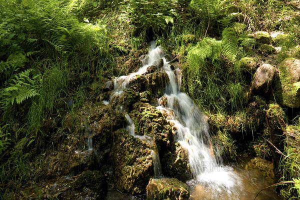 Mine drainage streams near Altenberg, as a legacy of mining in the Ore Mountains, there are