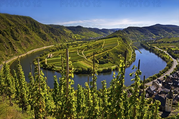 Moselle loop with vineyards and Saint Laurentius Church from the Bremmer Calmont via ferrata,