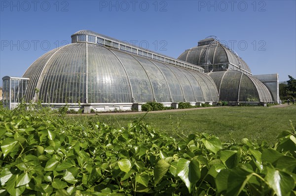 Palm House, oldest Victorian greenhouse in the world, Royal Botanic Gardens, Kew, London, England,