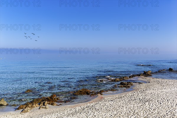 Coastline in the morning mist, sandy beach with rocks by the sea, blue sky, L'Île-Rousse, Ile