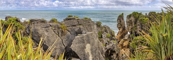 Pancake Rocks, Paparoa National Park, New Zealand, Oceania