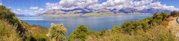 Lake Wanaka, Otago, New Zealand, Oceania