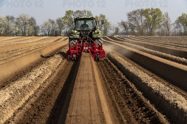 A farmer builds asparagus ridges on a field with the help of an asparagus tiller, in which the