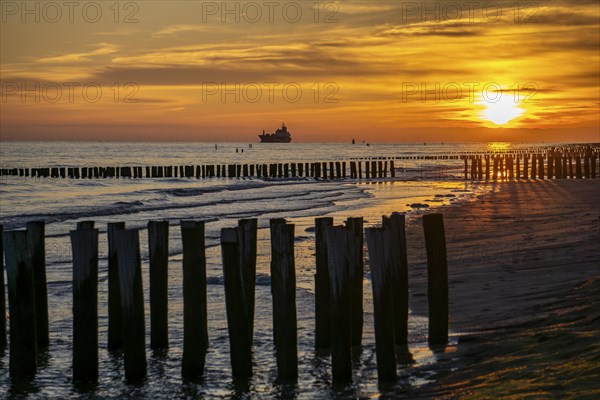 Sunset on the beach of Zoutelande, beach with wooden pile breakwaters, cargo ship sailing towards
